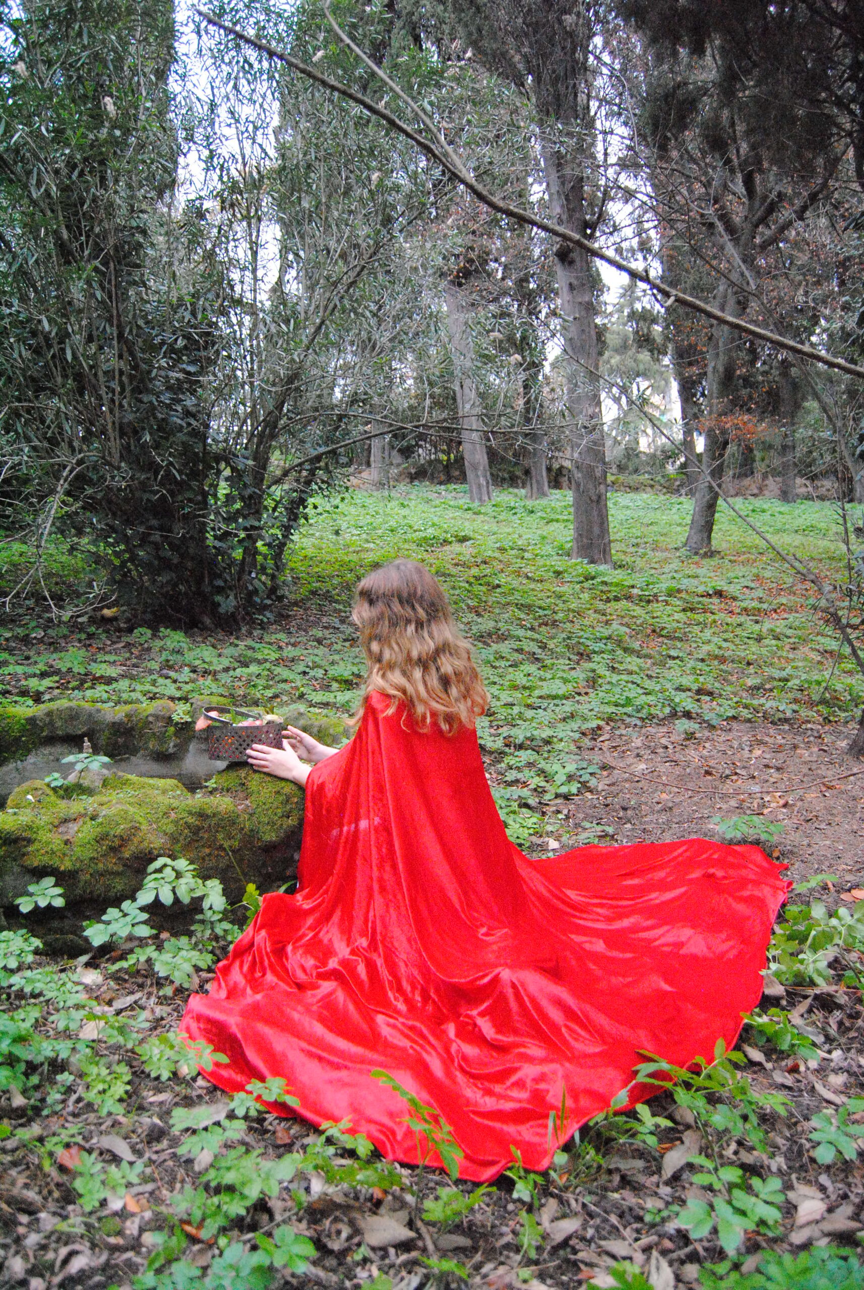Little Red Riding Hood — immagine 1