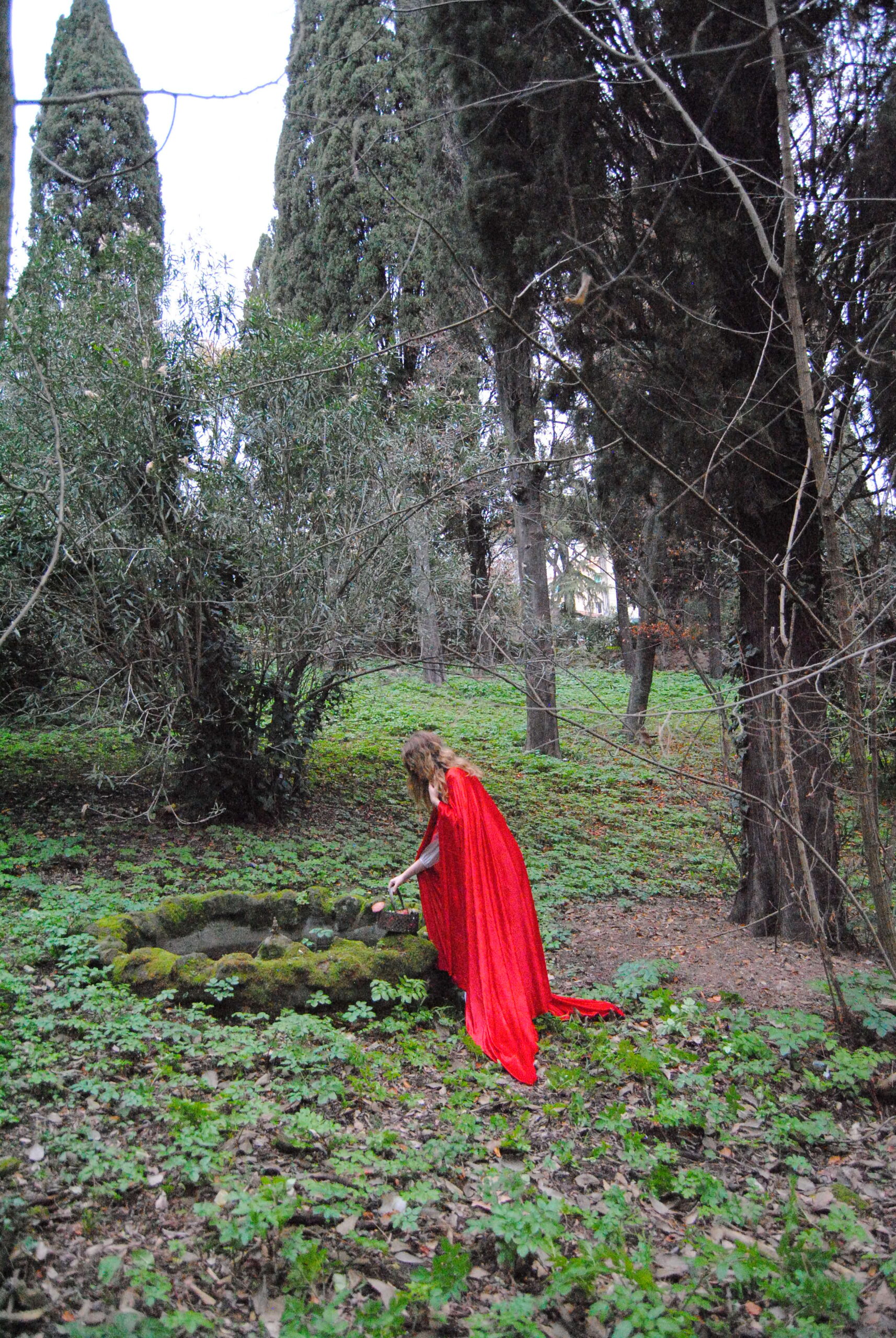 Little Red Riding Hood — immagine 2