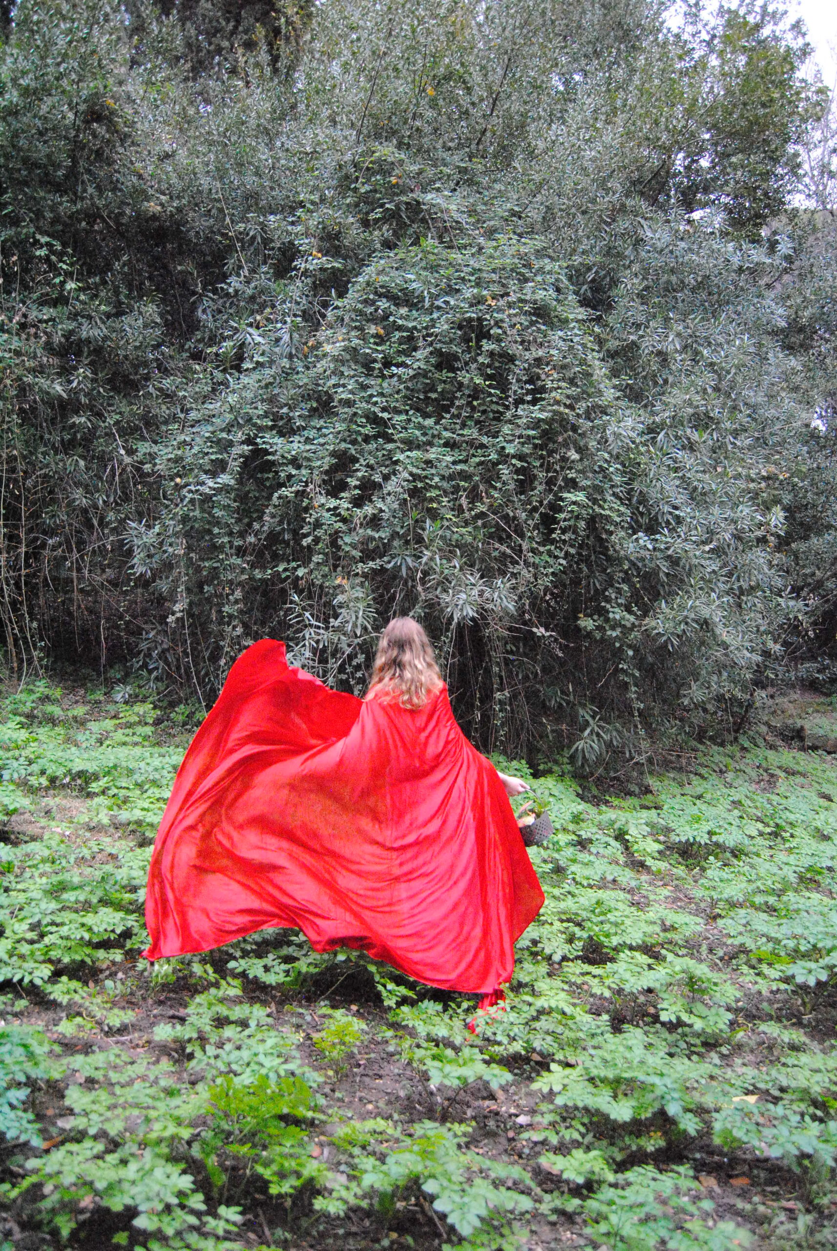 Little Red Riding Hood — immagine 3