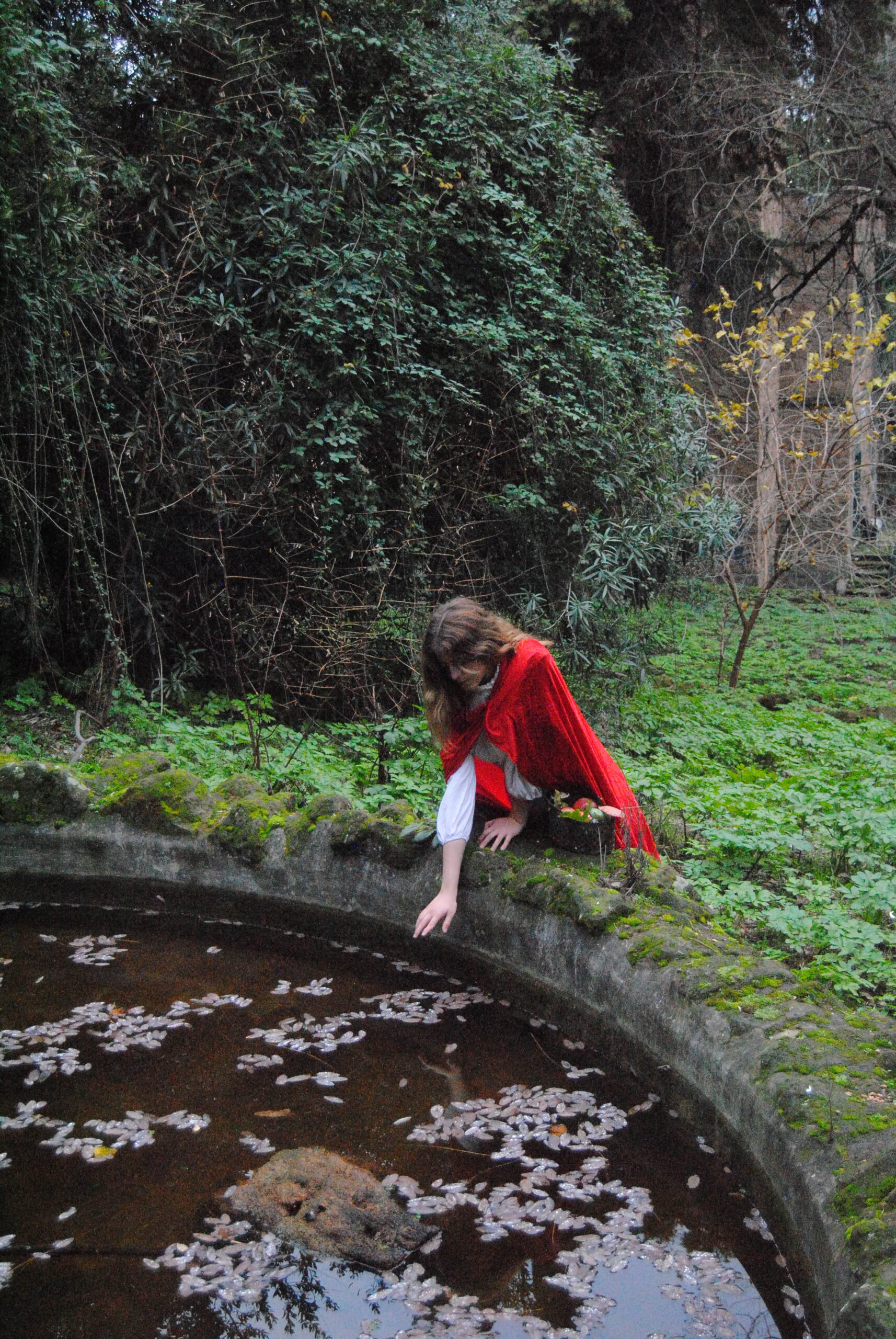 Little Red Riding Hood — immagine 4
