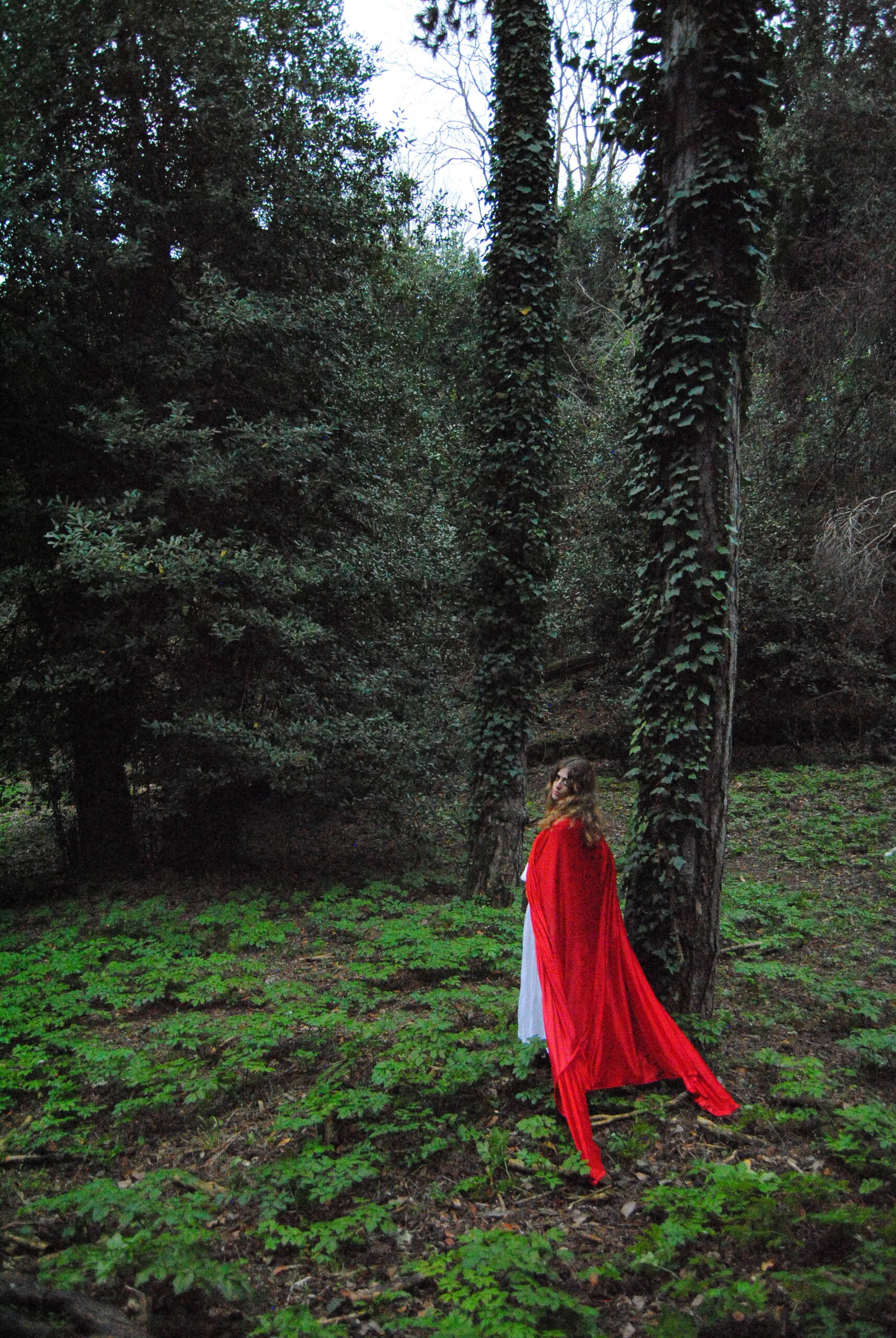 Little Red Riding Hood — immagine 5