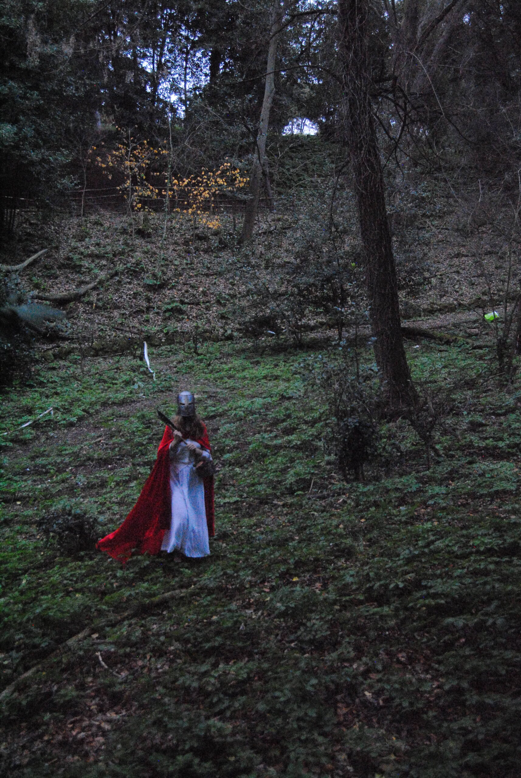 Little Red Riding Hood — immagine 7